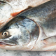 Illustration for article titled Norway's Turning Power Plant Emissions Into Fish Oil